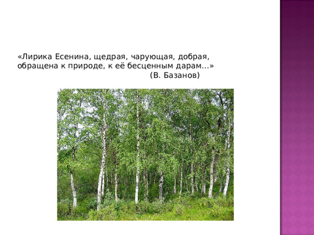 Есенин лебедушка олицетворения и сравнения. Лебёдушка Есенин презентация 4 класс. План Лебедушка Есенин 4 класс. Лебёдушка Есенин план. Задание по стихотворению с.Есенина Лебедушка 4 класс.