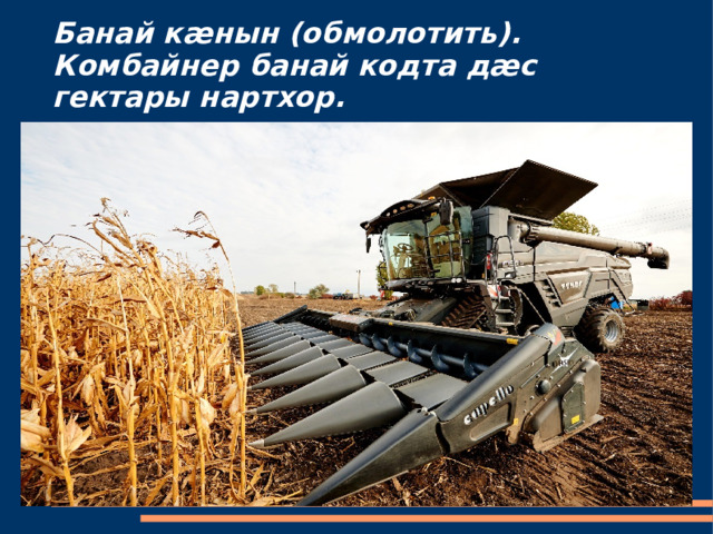 Банай кæнын (обмолотить).  Комбайнер банай кодта дæс гектары нартхор. 
