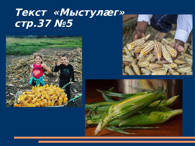 Текст «Мыстулæг»  стр.37 №5 
