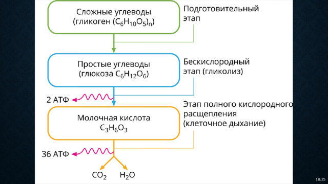 18:25 