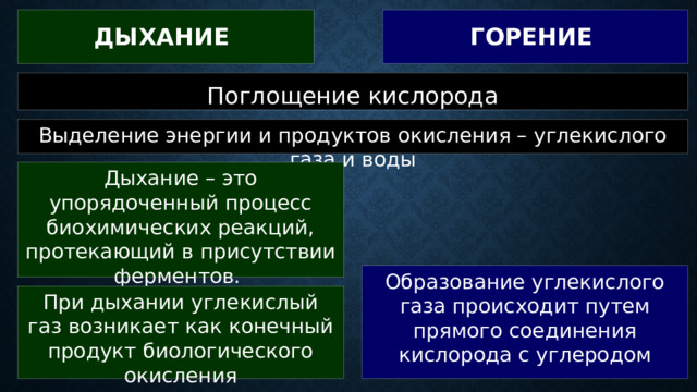 горение  Дыхание  Поглощение кислорода Выделение энергии и продуктов окисления – углекислого газа и воды Дыхание – это упорядоченный процесс биохимических реакций, протекающий в присутствии ферментов. Образование углекислого газа происходит путем прямого соединения кислорода с углеродом При дыхании углекислый газ возникает как конечный продукт биологического окисления 