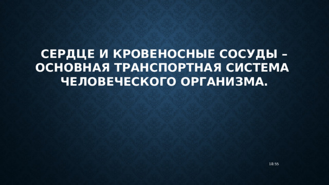 Сердце и кровеносные сосуды – основная транспортная система  человеческого организма. 18:55 