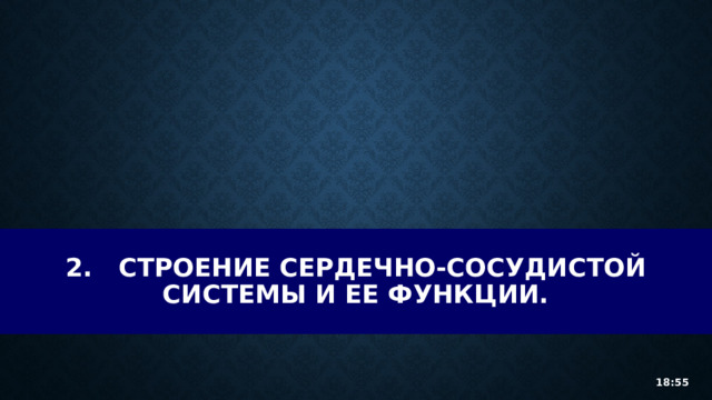 2.  строение сердечно-сосудистой системы и ее функции. 18:55 