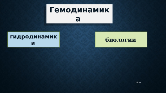 Гемодинамика  гидродинамики  биологии  18:55 