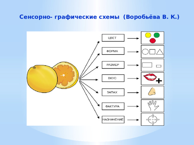 Сенсорно графические схемы воробьевой