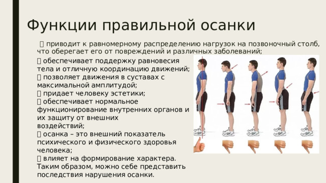 Функции правильной осанки  приводит к равномерному распределению нагрузок на позвоночный столб, что оберегает его от повреждений и различных заболеваний;    обеспечивает поддержку равновесия тела и отличную координацию движений;   позволяет движения в суставах с максимальной амплитудой;   придает человеку эстетики;   обеспечивает нормальное функционирование внутренних органов и их защиту от внешних  воздействий;   осанка – это внешний показатель психического и физического здоровья человека;   влияет на формирование характера.  Таким образом, можно себе представить последствия нарушения осанки. 
