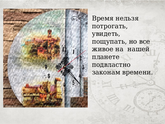 Время нельзя потрогать, увидеть, пощупать, но все живое на нашей планете подвластно законам времени. 