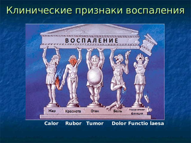 Рубор. Rubor tumor calor dolor et functio laesa перевод. Химические признаки воспаления. Внешние признаки воспаления.