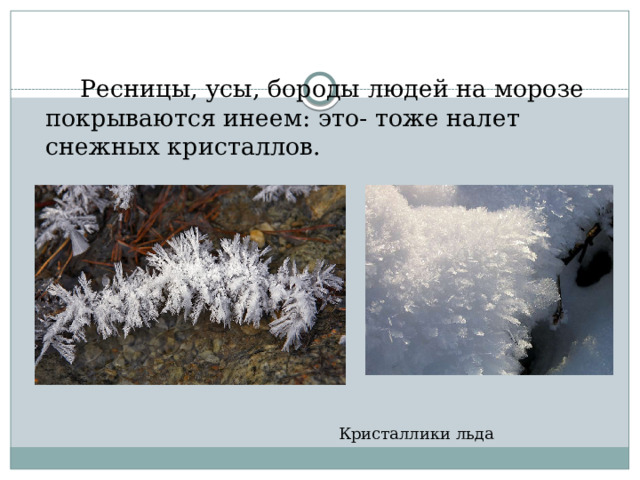  Ресницы, усы, бороды людей на морозе покрываются инеем: это- тоже налет снежных кристаллов. Кристаллики льда 