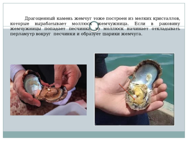  Драгоценный камень жемчуг тоже построен из мелких кристаллов, которые вырабатывает моллюск жемчужница. Если в раковину жемчужницы попадает песчинка, то моллюск начинает откладывать перламутр вокруг песчинки и образует шарики жемчуга. 