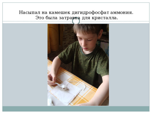 Насыпал на камешек дигидрофосфат аммония.  Это была затравка для кристалла. 