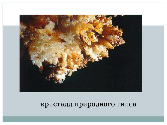 кристалл природного гипса 