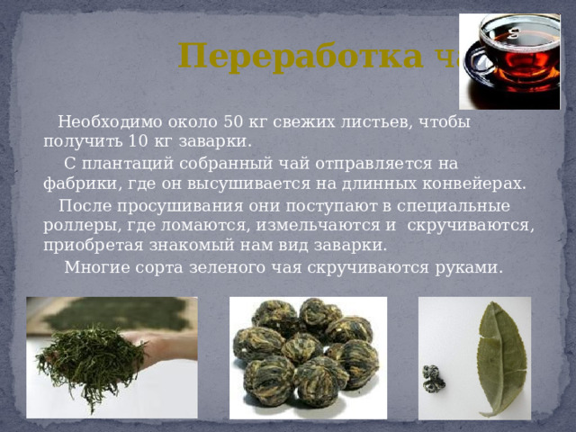 Переработка чая.  Необходимо около 50 кг свежих листьев, чтобы получить 10 кг заварки.  С плантаций собранный чай отправляется на фабрики, где он высушивается на длинных конвейерах.  После просушивания они поступают в специальные роллеры, где ломаются, измельчаются и скручиваются, приобретая знакомый нам вид заварки.  Многие сорта зеленого чая скручиваются руками. 