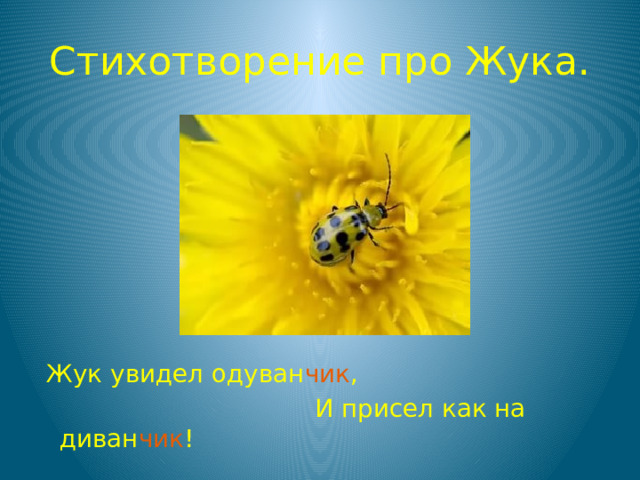 Стихотворение про Жука.  Жук увидел одуван чик ,  И присел как на диван чик ! 