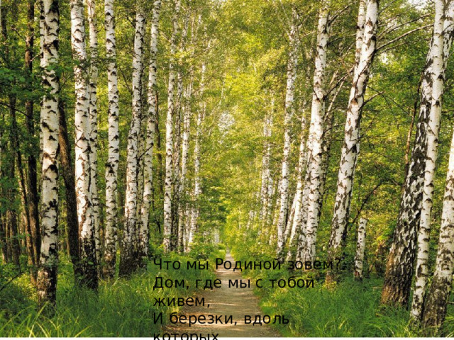 Что мы Родиной зовем? Дом, где мы с тобой живем, И березки, вдоль которых Рядом с мамой мы идем. 