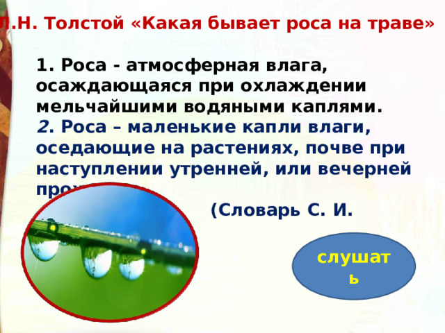 Какая бывает роса на траве толстой