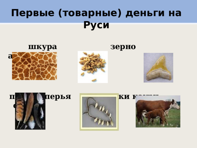 Первые (товарные) деньги на Руси    шкура зерно акулий зуб   птичьи перья ракушки каури скот 