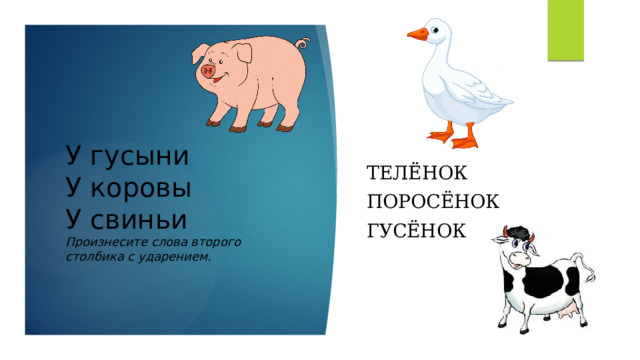 У гусыни  У коровы  У свиньи  Произнесите слова второго столбика с ударением. Телёнок поросёнок  гусёнок 