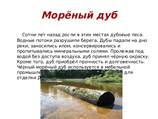 Полезные ископаемые Республики Мордовия