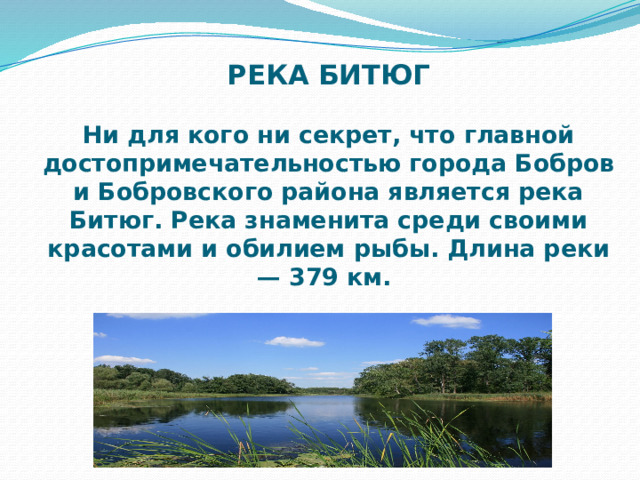 РЕКА БИТЮГ   Ни для кого ни секрет, что главной достопримечательностью города Бобров и Бобровского района является река Битюг. Река знаменита среди своими красотами и обилием рыбы. Длина реки — 379 км. 