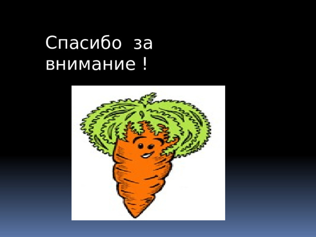 Спасибо за внимание ! 