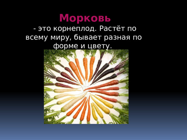  Морковь  - это корнеплод. Растёт по всему миру, бывает разная по форме и цвету. 