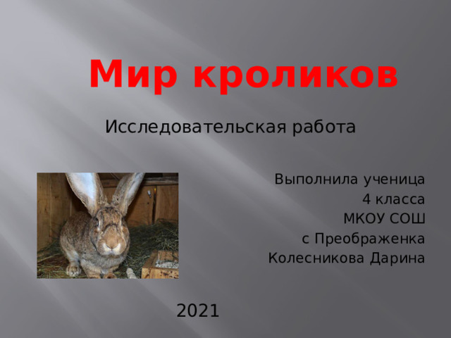 Мир кроликов  Исследовательская работа  Выполнила ученица  4 класса  МКОУ СОШ  с Преображенка  Колесникова Дарина 2021 