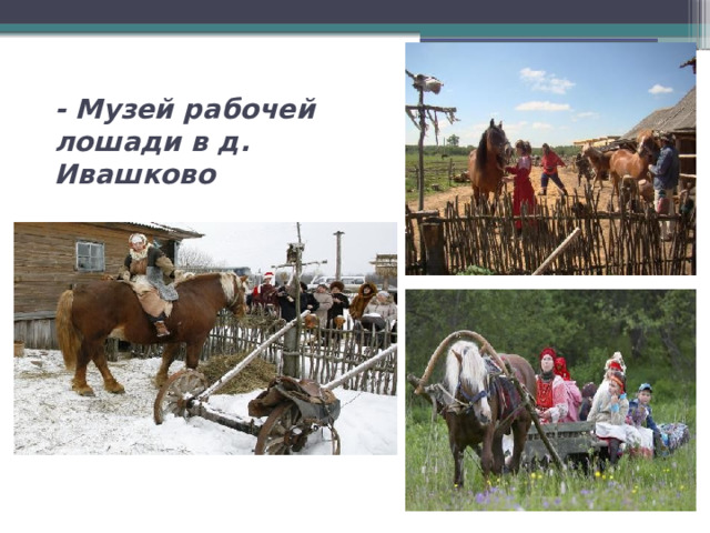 - Музей рабочей лошади в д. Ивашково 