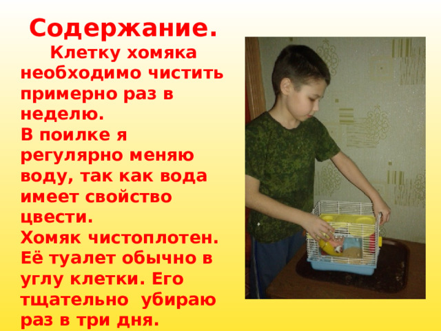 Содержание.       Клетку хомяка необходимо чистить примерно раз в неделю. В поилке я регулярно меняю воду, так как вода имеет свойство цвести. Хомяк чистоплотен. Её туалет обычно в углу клетки. Его тщательно  убираю раз в три дня. Раз в неделю я провожу полную генеральную уборку клетки, меняю подстилку и мою клетку. 