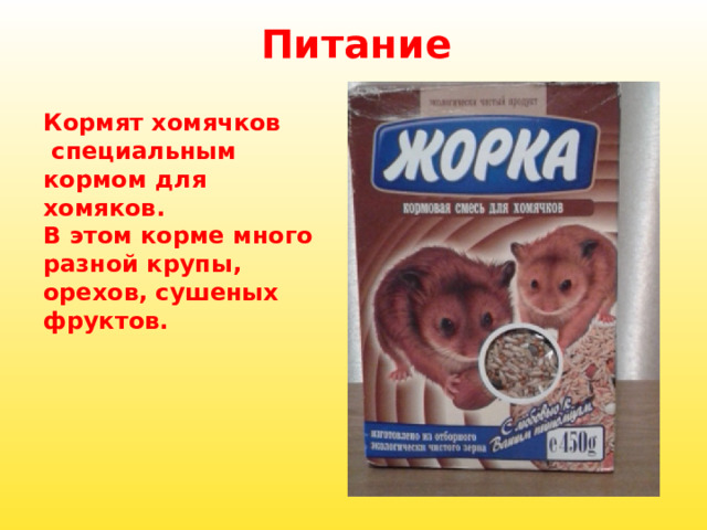 Питание Кормят хомячков  специальным кормом для хомяков. В этом корме много разной крупы, орехов, сушеных фруктов. 