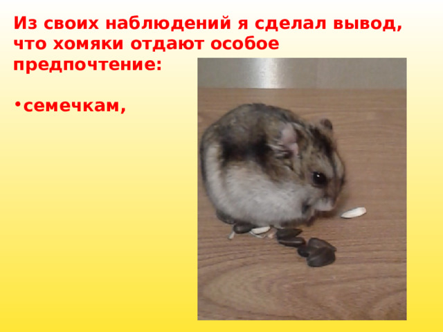 Из своих наблюдений я сделал вывод, что хомяки отдают особое предпочтение:    семечкам, 
