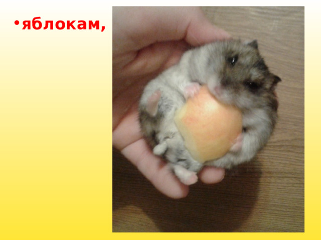 яблокам, 