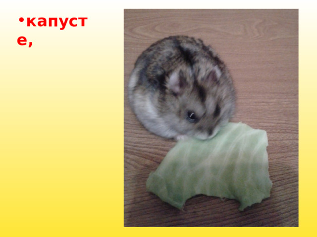 капусте, 