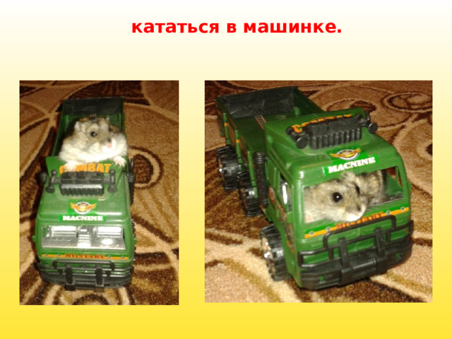 кататься в машинке. 