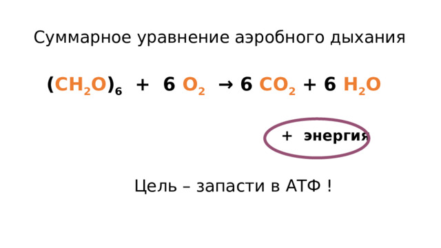 Суммарное уравнение аэробного дыхания ( СН 2 О ) 6 + 6 O 2 → 6 СО 2 + 6 H 2 O  + энергия Цель – запасти в АТФ ! 