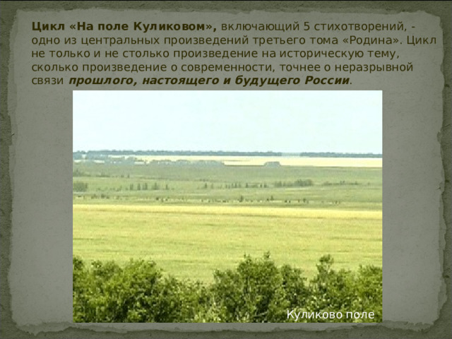 Цикл «На поле Куликовом», включающий 5 стихотворений, - одно из центральных произведений третьего тома «Родина». Цикл не только и не столько произведение на историческую тему, сколько произведение о современности, точнее о неразрывной связи прошлого, настоящего и будущего России . Куликово поле  