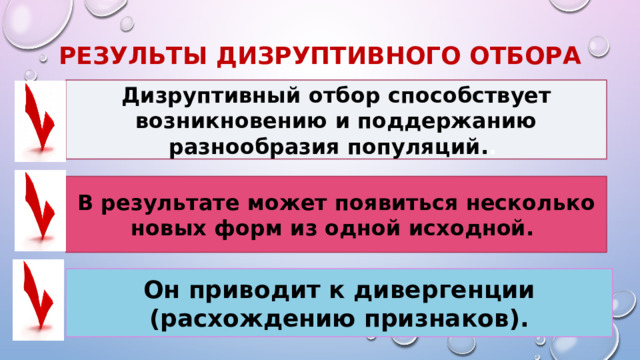 Результы Дизруптивного отбора Дизруптивный отбор способствует возникновению и поддержанию разнообразия популяций. . В результате может появиться несколько новых форм из одной исходной. Он приводит к дивергенции (расхождению признаков). 