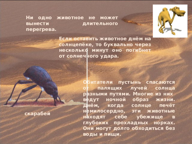 Ни одно животное не может вынести длительного перегрева. Если оставить животное днём на солнцепёке, то буквально через несколько минут оно погибнет от солнечного удара. Обитатели пустынь спасаются от палящих лучей солнца разными путями. Многие из них ведут ночной образ жизни. Днём, когда солнце печёт немилосердно, эти животные находят себе убежище в глубоких прохладных норках. Они могут долго обходиться без воды и пищи. скарабей 