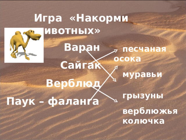 Игра «Накорми животных»  Варан   Сайгак   Верблюд  Паук – фаланга   песчаная осока   муравьи    грызуны   верблюжья  колючка 