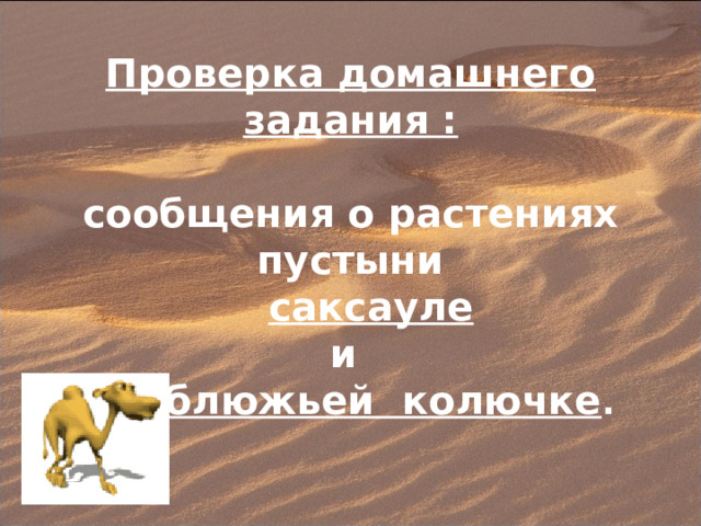 Проверка домашнего задания :  сообщения о растениях пустыни  саксауле  и верблюжьей колючке . 