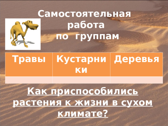 Самостоятельная работа  по группам Травы Кустарники Деревья Как приспособились растения к жизни в сухом климате? 