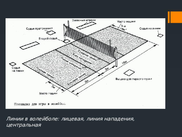 Линия нападения