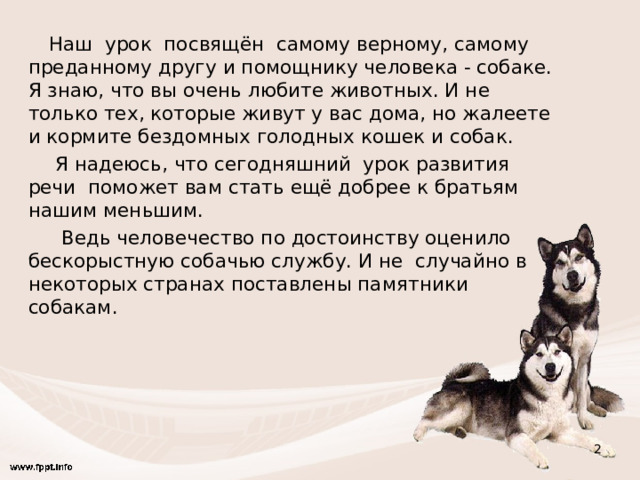 Рассказ про собаку и человека как написать и оформить для 1 класса?