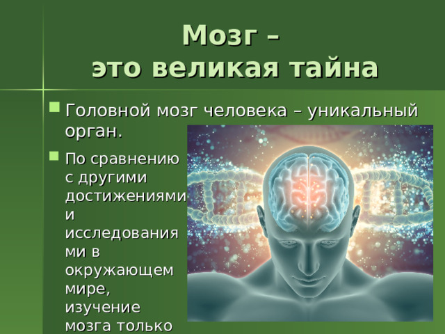 Наука изучающая мозг. Изучают мозг. На сколько изучен мозг человека. Количество проектов по изучению мозга человека в мире.