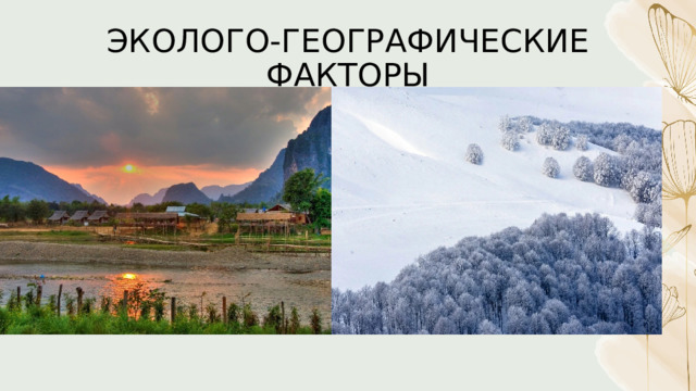 ЭКОЛОГО-ГЕОГРАФИЧЕСКИЕ ФАКТОРЫ 