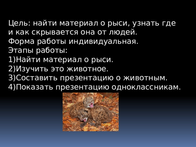 Цель: найти материал о рыси, узнать где и как скрывается она от людей. Форма работы индивидуальная. Этапы работы: 1)Найти материал о рыси. 2)Изучить это животное. 3)Составить презентацию о животным. 4)Показать презентацию одноклассникам. 