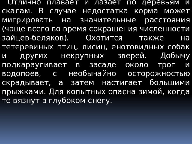  Отлично плавает и лазает по деревьям и скалам. В случае недостатка корма может мигрировать на значительные расстояния (чаще всего во время сокращения численности зайцев-беляков). Охотится также на тетеревиных птиц, лисиц, енотовидных собак и других некрупных зверей. Добычу подкарауливает в засаде около троп и водопоев, с необычайно осторожностью скрадывает, а затем настигает большими прыжками. Для копытных опасна зимой, когда те вязнут в глубоком снегу. 