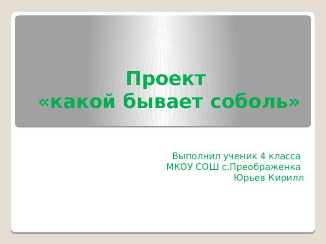 Проект  «какой бывает соболь» Выполнил ученик 4 класса МКОУ СОШ с.Преображенка Юрьев Кирилл 