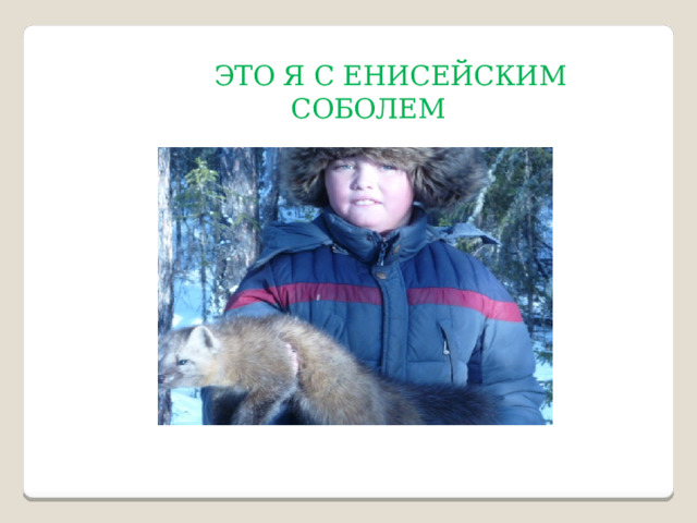  ЭТО Я С ЕНИСЕЙСКИМ СОБОЛЕМ 
