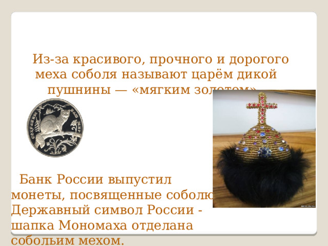  Из-за красивого, прочного и дорогого меха соболя называют царём дикой пушнины — «мягким золотом».  Банк России выпустил монеты, посвященные соболю. Державный символ России - шапка Мономаха отделана собольим мехом. 